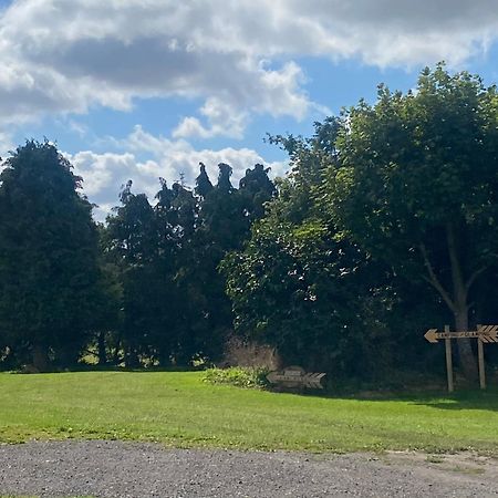 Roe Deer Meadow At Carr House Farm Hotel Scarborough Luaran gambar