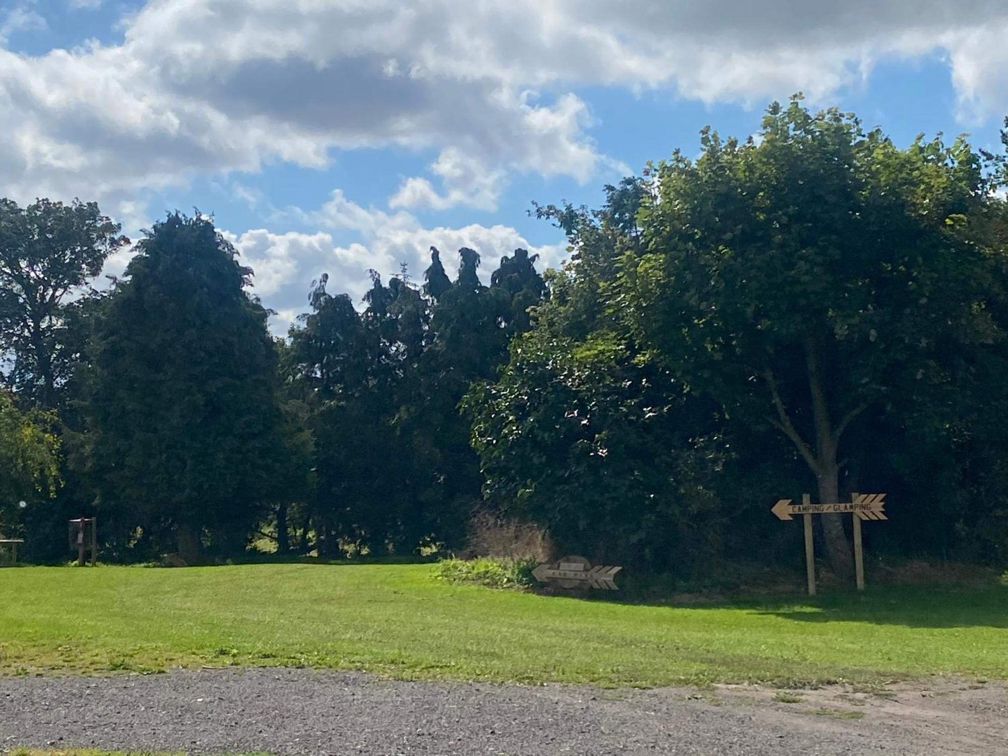 Roe Deer Meadow At Carr House Farm Hotel Scarborough Luaran gambar